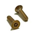 Security Machine Screw Pin Torx Flat Head